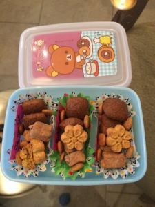 Doggy bento