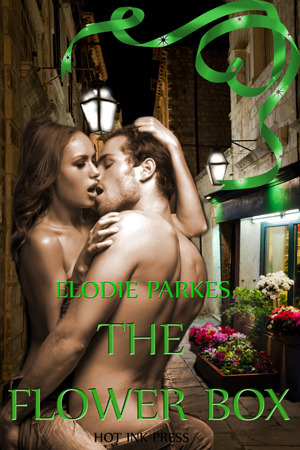 The Flower Box by Elodie Parks