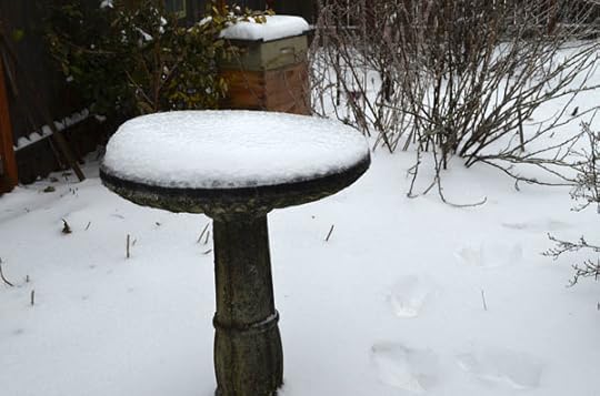 snowy-birdbath