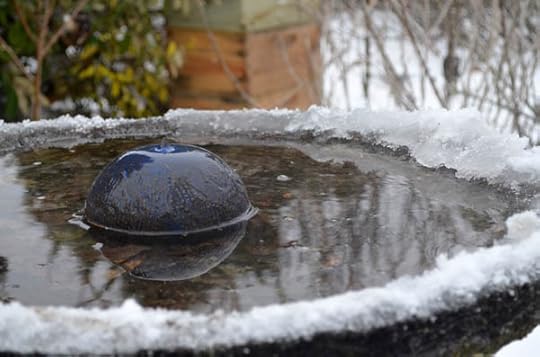 warm-water-birdbath