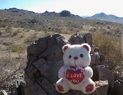 I love you