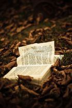 book1