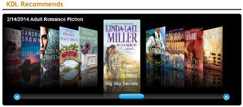 Top Ten Romance Adult Fiction 02-14-2014