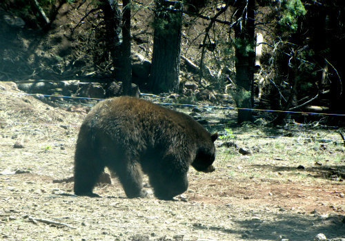 When the Past Meets the Present - Carol Cox