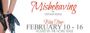 Misbehaving Banner