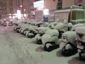 photo(12)