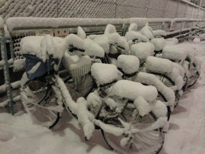 photo(6)