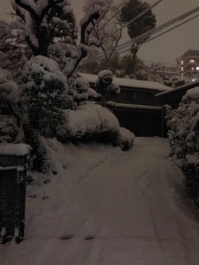 photo(19)