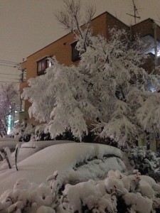 photo(4)