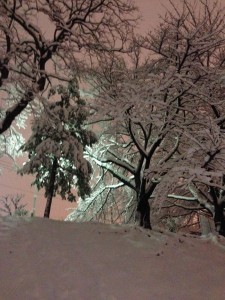 photo(1)