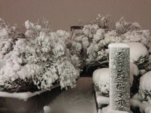 photo(7)