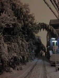 photo(9)