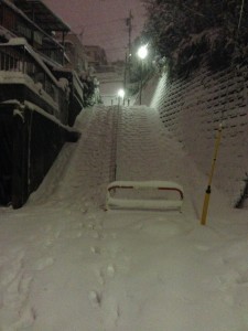 photo(21)