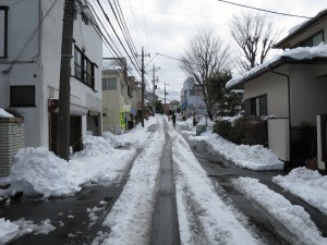 IMG_0804