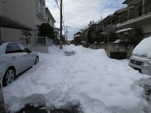 IMG_0809