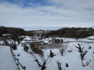 IMG_0811
