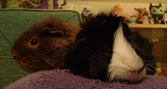 I will always miss how sweet and comforting he could be.