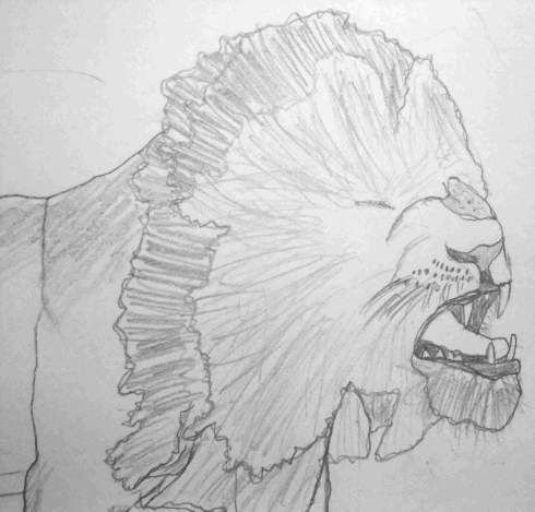 cropped Copy of DSCF6731