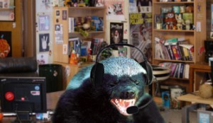 badger-tech