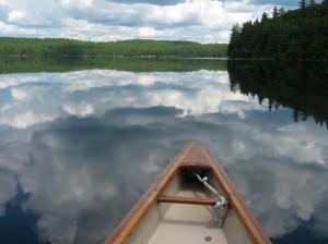 Algonquin Photo Rachael Dymski