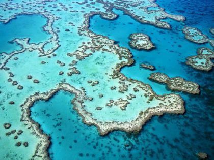 Great Barrier Reef. Image sourced from National Geographic
