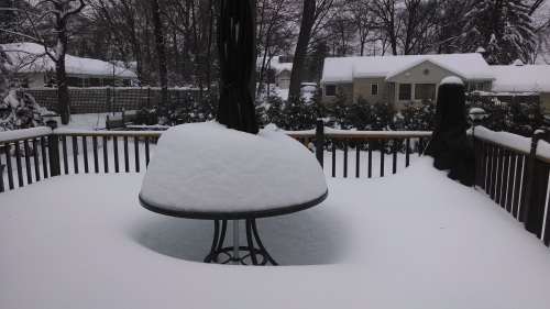yet more snow