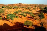 Dogon Country, Mali, Africa