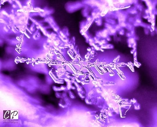  photo 69C510AB-C4D1-429C-AFCC-5CCD2F32CA2C_zpspbhcqgkg.jpg