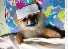 migraine