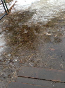 This should be our backyard, not a lake