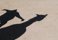 yogashadows_200