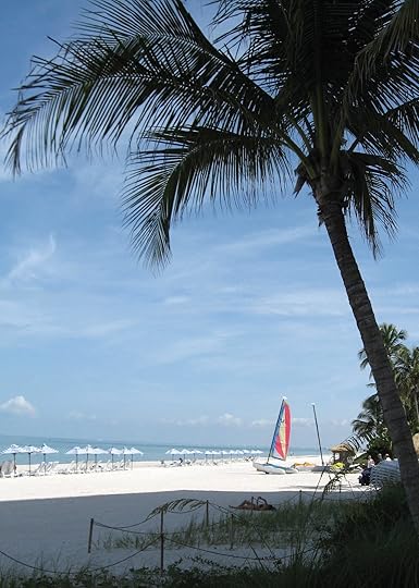 How My Blog Spent Its Summer Vacation