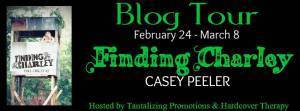 FB Blog Tour Banner