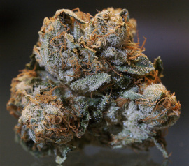 Kush_close