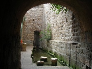 DSCN1594