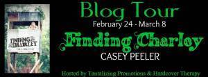 FB Blog Tour Banner