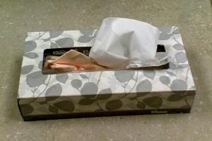 Tissues1