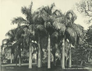 Pinterest: Ezbekiah Gardens: Le Caire; Jardin de l’Ezbekiye... Digital ID: 425808. New York Public Library