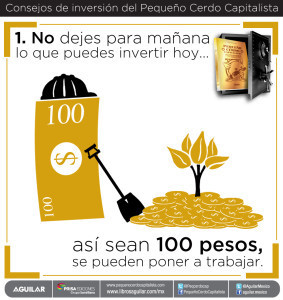 consejos de inversión Pequeño Cerdo Capitalista