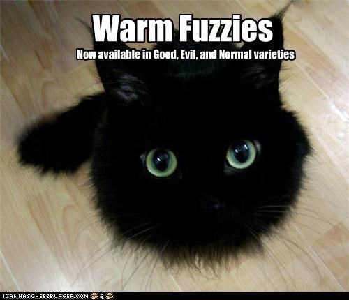 warm and fuzzy