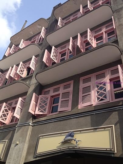 Pink Windows