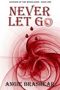 Never Let Go - Front Cover