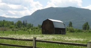 barn 1