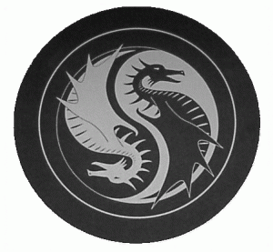 Yin Yang Dragon Avatar