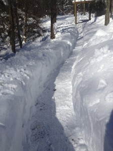 Shoveled Path