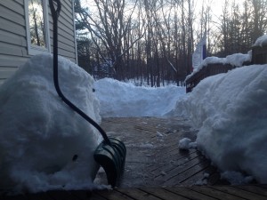 Bliz of 2014 front walk