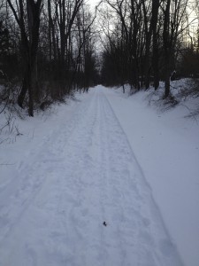 ski trail