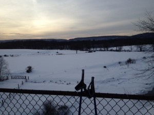 gunks