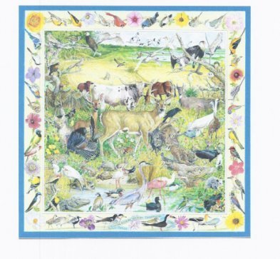 http://blog.chron.com/societydiaries/wp-content/blogs.dir/2538/files/hermes-party/caesar-kleberg-wildlife-conservation-90-cm-scarf.jpg