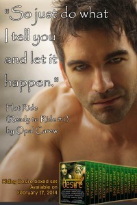 BikerBoxed+Set+-+OpalCarew-2